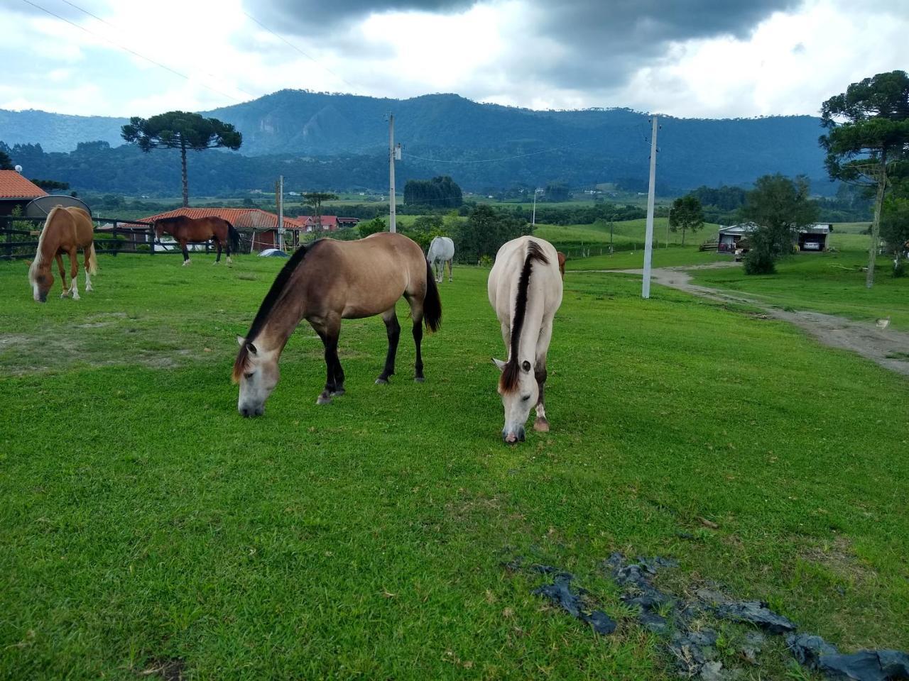 ホテル Sitio Rancho Crioulo ウルビシ エクステリア 写真