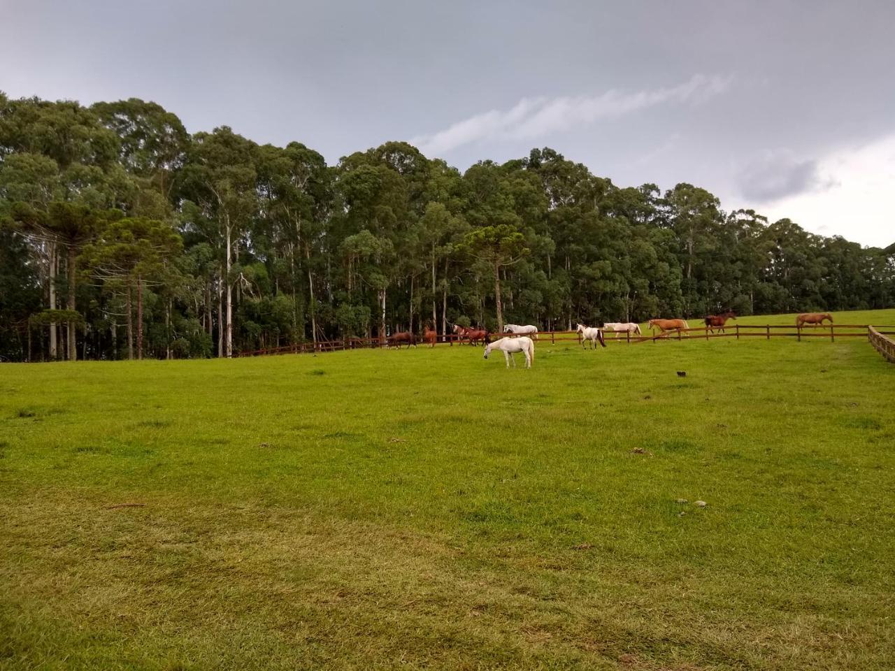ホテル Sitio Rancho Crioulo ウルビシ エクステリア 写真