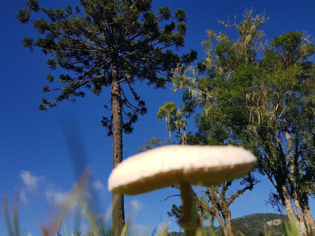 ホテル Sitio Rancho Crioulo ウルビシ エクステリア 写真